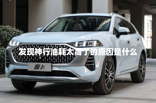 发现神行油耗太高了的原因是什么