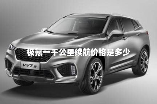 极氪一千公里续航价格是多少
