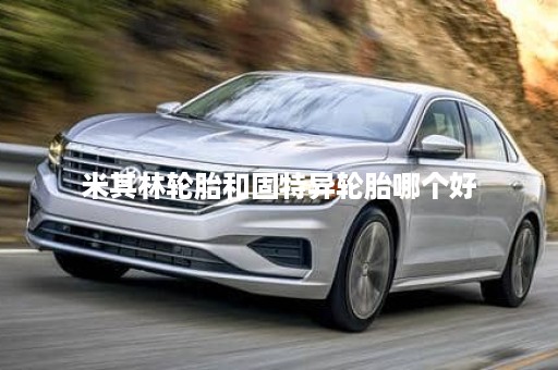 米其林轮胎和固特异轮胎哪个好