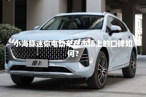 小海豚迷你电动车在市场上的口碑如何？