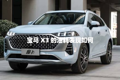 宝马 X3 的油耗表现如何