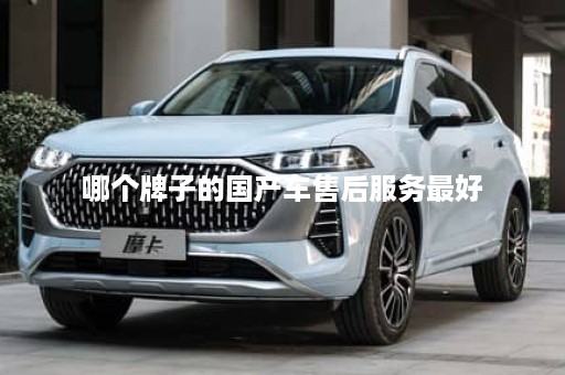 哪个牌子的国产车售后服务最好