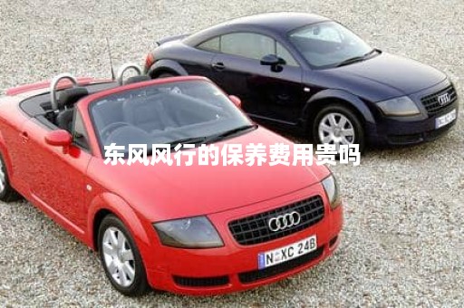 东风风行的保养费用贵吗