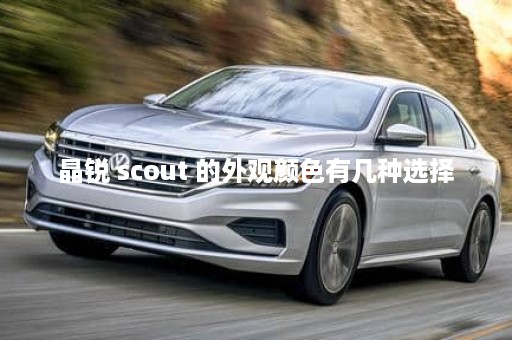 晶锐 scout 的外观颜色有几种选择