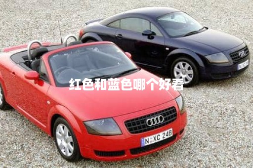 红色和蓝色哪个好看