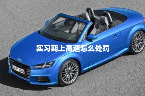 实习期上高速怎么处罚
