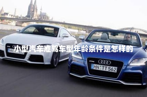 小型汽车准驾车型年龄条件是怎样的