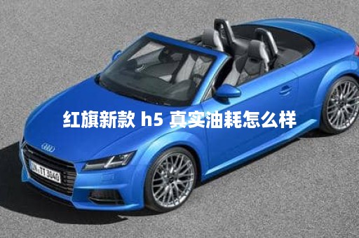 红旗新款 h5 真实油耗怎么样