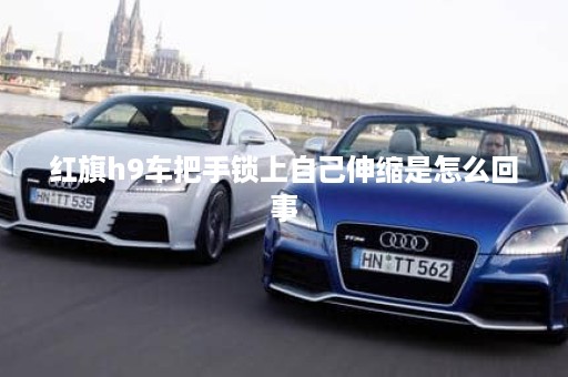 红旗h9车把手锁上自己伸缩是怎么回事