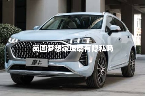 岚图梦想家玻璃有隐私吗